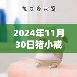 猪小戒最新作品观点论述，引领潮流的2024年创作新篇章