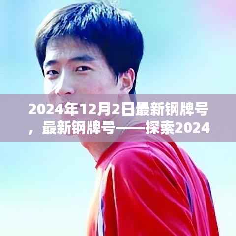 探索最新钢牌号,揭秘2024年钢制品新纪元