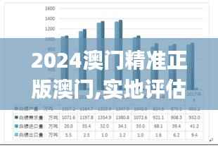 2024澳门精准正版澳门,实地评估策略数据_LT35.487