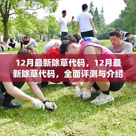 12月最新除草代码全面评测与详细介绍