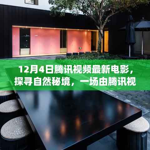 腾讯视频最新电影,探寻自然秘境的心灵之旅