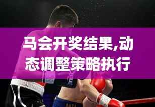 马会开奖结果,动态调整策略执行_AP17.827