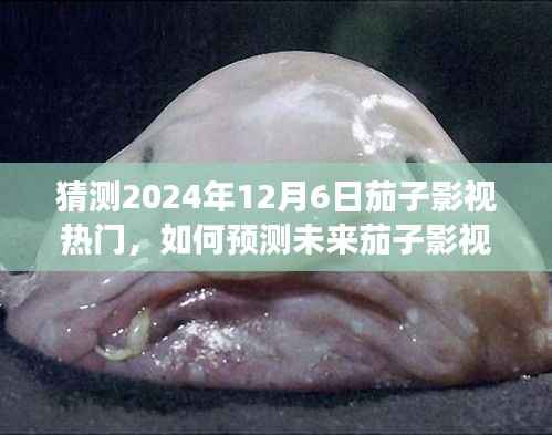 初学者视角，预测未来茄子影视热门，探索预测技巧——以2024年茄子影视展望为例