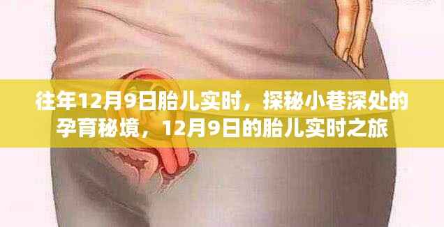 探秘孕育秘境,12月9日胎儿实时之旅