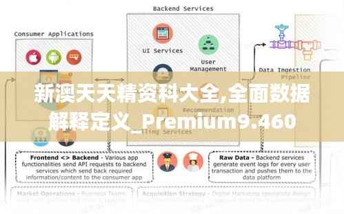 新澳天天精资科大全,全面数据解释定义_Premium9.460