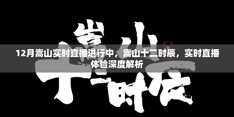 嵩山十二时辰深度解析,实时直播体验正在进行中