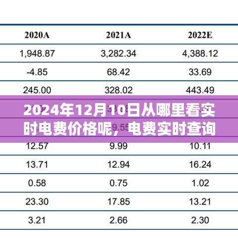 电费实时查询指南,如何轻松查看2024年12月10日的实时电费价格