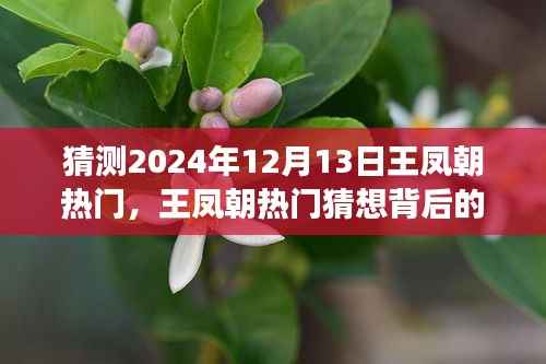 揭秘王凤朝热门背后的故事,变化的力量与自信的魔力预测分析至2024年12月13日