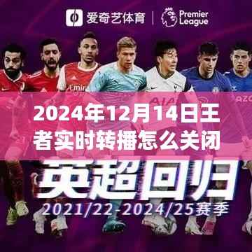 探秘自然之旅与王者实时转播,心态调整与关闭指南,享受宁静时光