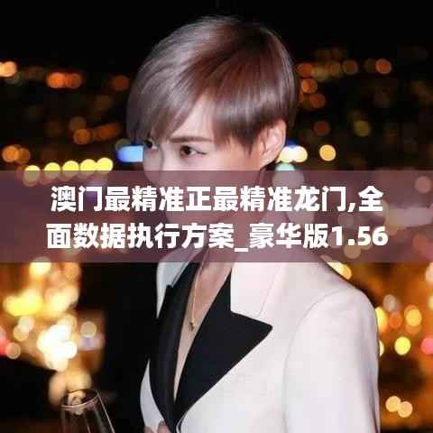 澳门最精准正最精准龙门,全面数据执行方案_豪华版1.563