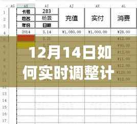 12月14日实时调整计划表格格式,初学者与进阶用户详细指南