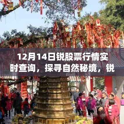 12月14日锐股票行情实时查询,心灵之旅探寻自然秘境的股市动态