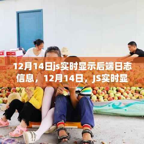 JS实时显示后端日志信息的革新之旅(12月14日更新)