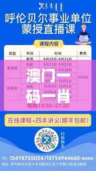 澳门一码一肖一特一中直播结果,效率资料解释落实_免费版5.997