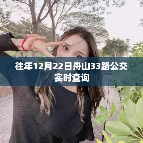 舟山公交实时查询,往年12月22日33路公交动态