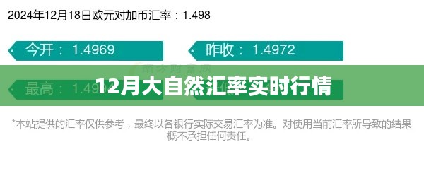 12月大自然汇率最新实时行情