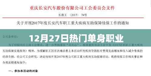 热门单身职业大盘点,12月27日最新趋势