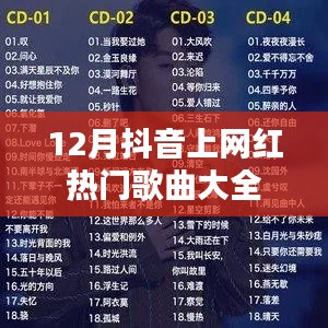 抖音热门歌曲大盘点,十二月网红歌曲精选