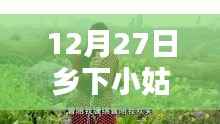 乡下小姑娘爆红记,12月27日登上热搜