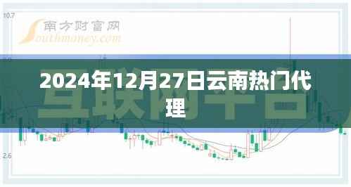 云南热门代理业务概览,最新动态与趋势分析(2024年)