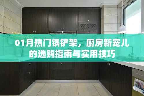 热门锅铲架选购指南与实用技巧,厨房必备新宠儿