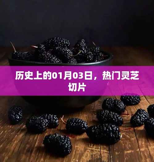 老死不相往来 第3页