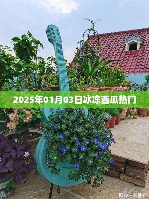 冰冻西瓜热潮来袭,揭秘2025年热门美食背后的故事
