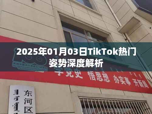 TikTok热门姿势深度解析(2025年1月3日)
