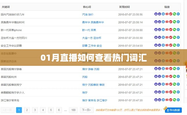 「01月直播热门词汇查看攻略」
