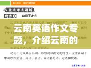 鸢飞鱼跃 第2页