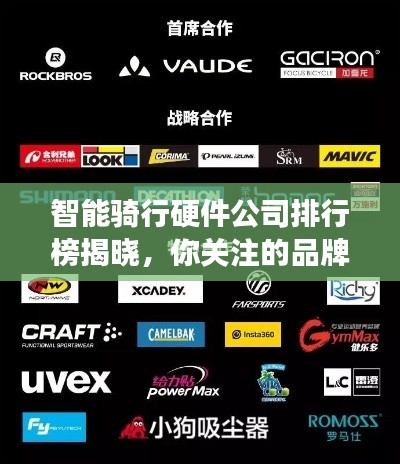 智能骑行硬件公司排行榜揭晓,你关注的品牌上榜了吗?