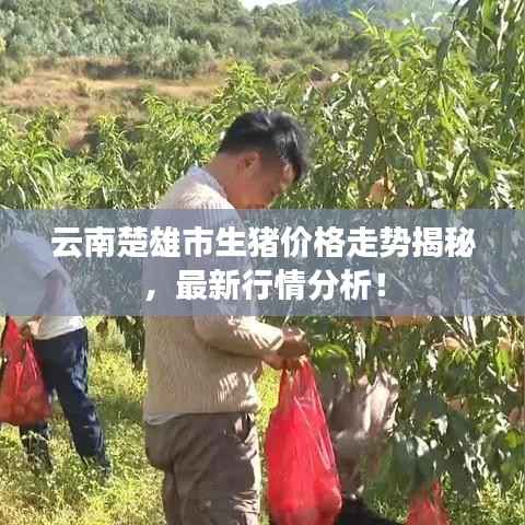 浅笑轻吟梦一曲 第2页