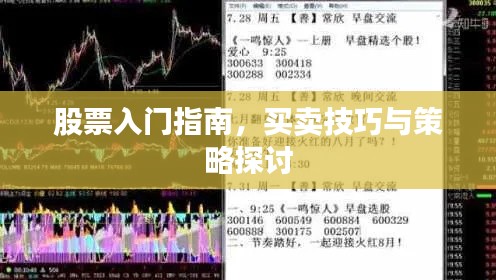 股票入门指南,买卖技巧与策略探讨