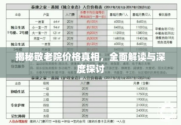 揭秘敬老院价格真相,全面解读与深度探讨