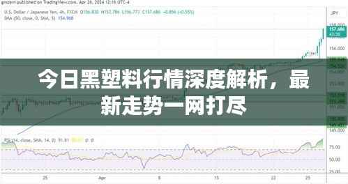 今日黑塑料行情深度解析,最新走势一网打尽