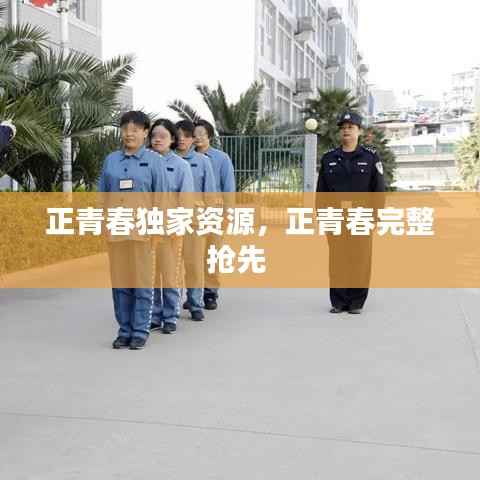 正青春独家资源,正青春完整抢先