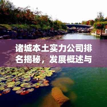诸城本土实力公司排名揭秘,发展概述与前景展望