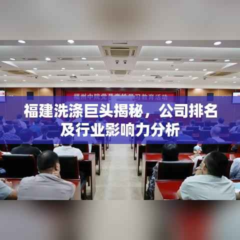 福建洗涤巨头揭秘,公司排名及行业影响力分析