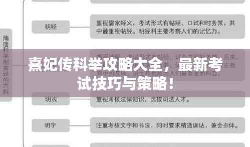 熹妃传科举攻略大全,最新考试技巧与策略!