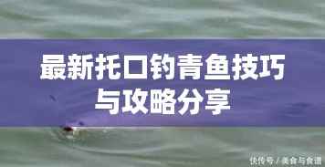最新托口钓青鱼技巧与攻略分享