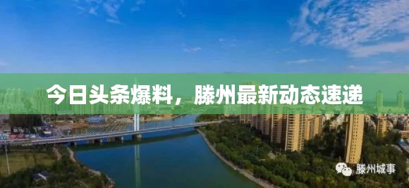 今日头条爆料,滕州最新动态速递