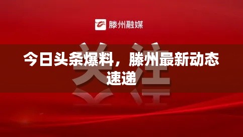 今日头条爆料,滕州最新动态速递