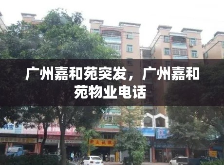 广州嘉和苑突发,广州嘉和苑物业电话