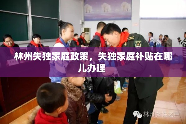 林州失独家庭政策,失独家庭补贴在哪儿办理