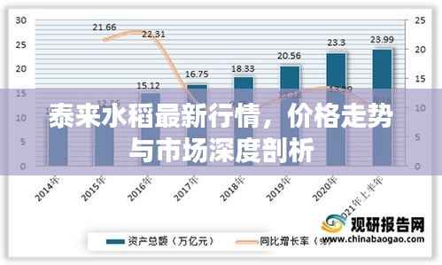 泰来水稻最新行情,价格走势与市场深度剖析