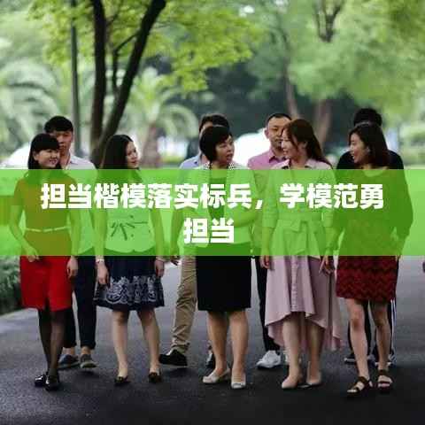 担当楷模落实标兵，学模范勇担当 