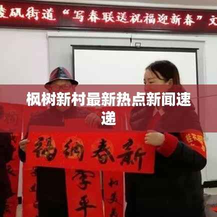 枫树新村最新热点新闻速递